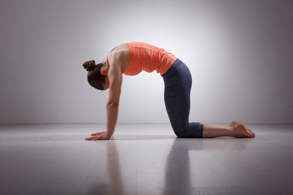 Một trong các tư thế phổ biến của bài tập yoga cho người mới bắt đầu
